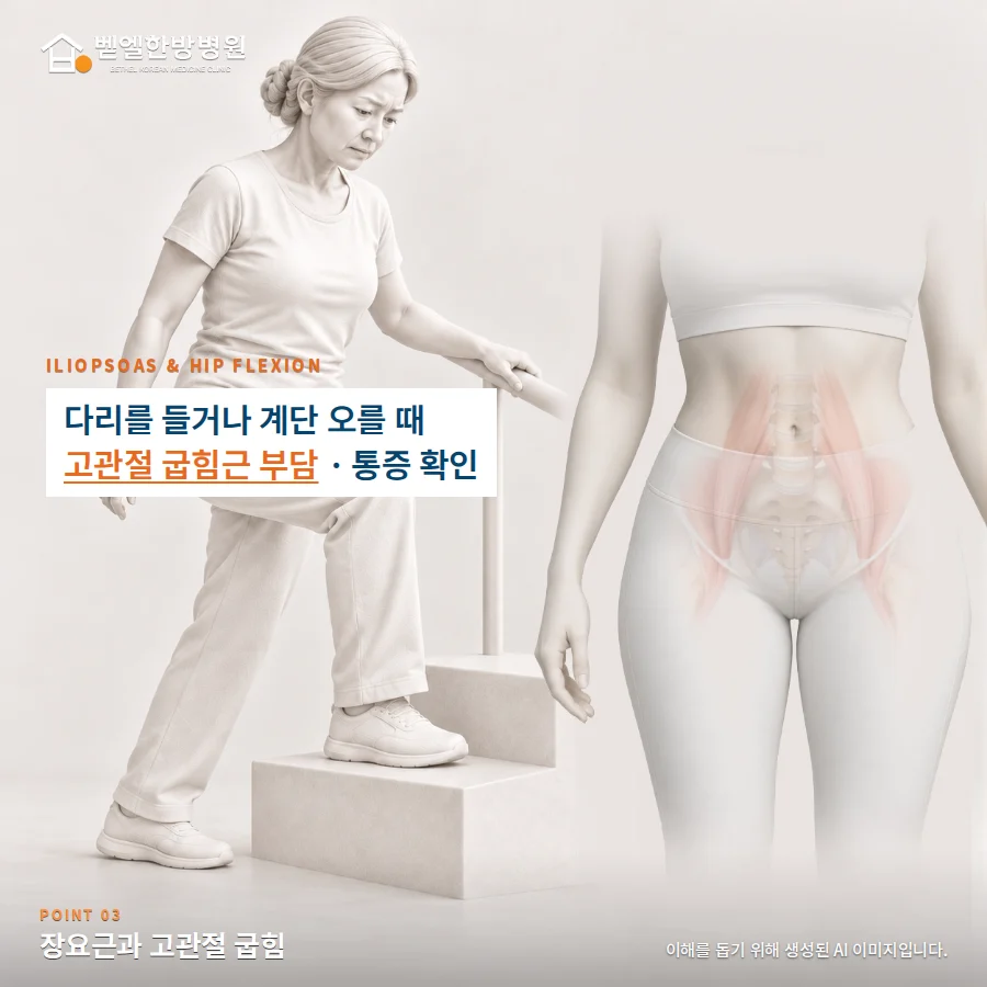 장요근과 고관절 굽힘: 다리를 들거나 계단 오를 때 고관절 굽힘근 부담 · 통증 확인