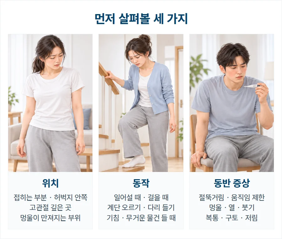 먼저 살펴볼 세 가지. 위치: 접히는 부분·허벅지 안쪽, 고관절 깊은 곳, 멍울이 만져지는 부위. 동작: 일어설 때·걸을 때, 계단 오르기·다리 들기, 기침·무거운 물건 들 때. 동반 증상: 절뚝거림·움직임 제한, 멍울·열·붓기, 복통·구토·저림