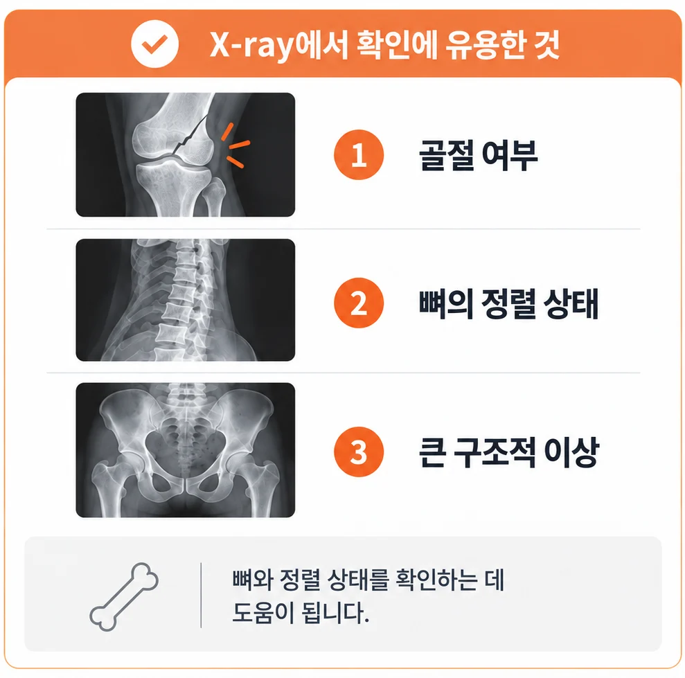 엑스레이에서 확인에 유용한 것 세 가지 — 골절 여부, 뼈의 정렬 상태, 큰 구조적 이상을 엑스레이 사진과 함께 정리한 표